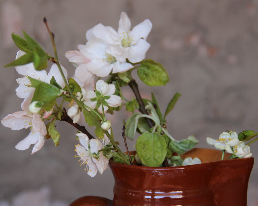 Весна. - Венера Чуйкова Весна. - Венера Чуйкова