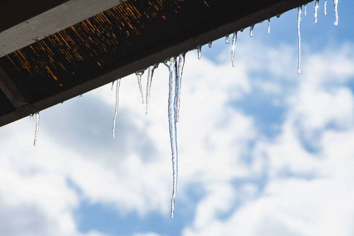 *** - Николай Чекалин