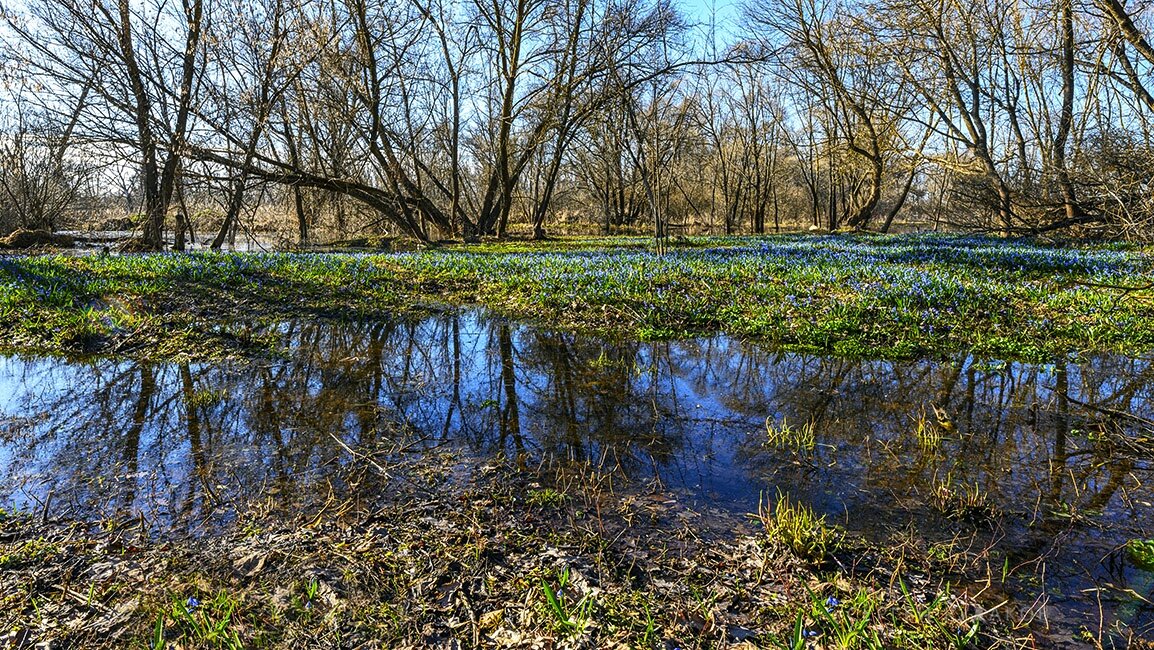 Озера полные весны - Сергей 