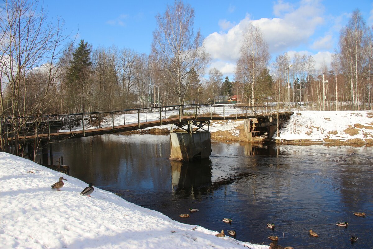 Старый мост - Наталья Герасимова