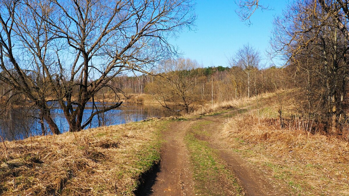 Дорога рыбаков и охотников. - Милешкин Владимир Алексеевич Дорога рыбаков и охотников. - Милешкин Владимир Алексеевич