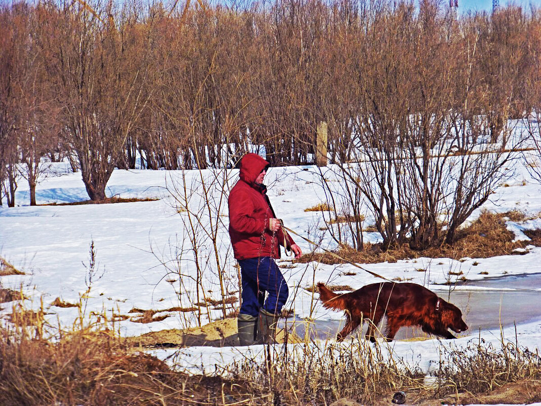 Апрель...С собакой в пойме Юганской Оби. - Владимир Апрель...С собакой в пойме Юганской Оби. - Владимир