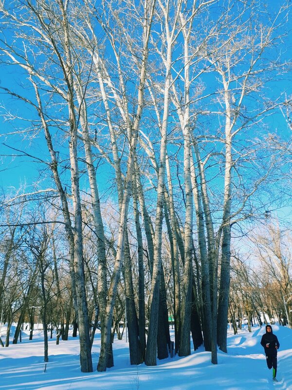 Весна - Георгиевич Весна - Георгиевич