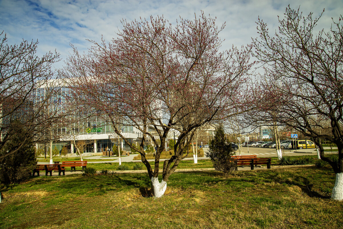 Весна - Анатолий Чикчирный