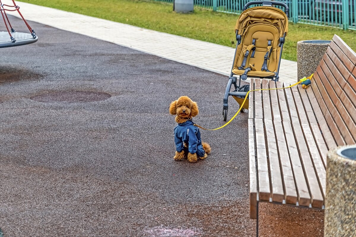 Охрана бдит - Валерий Иванович Охрана бдит - Валерий Иванович