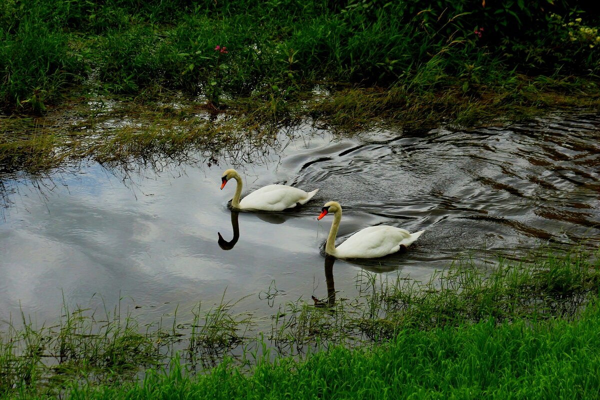 Свидание - Юрий. Шмаков Свидание - Юрий. Шмаков