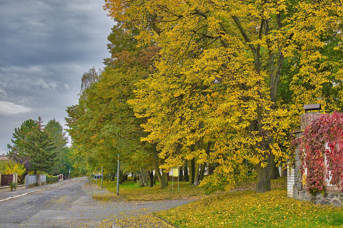 Золотая Прага - Sergey Grim