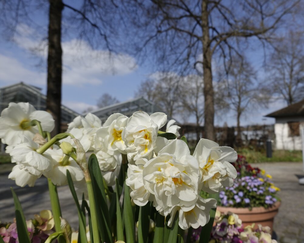 В ботаническом саду...Аугсбурга... - Галина В ботаническом саду...Аугсбурга... - Галина