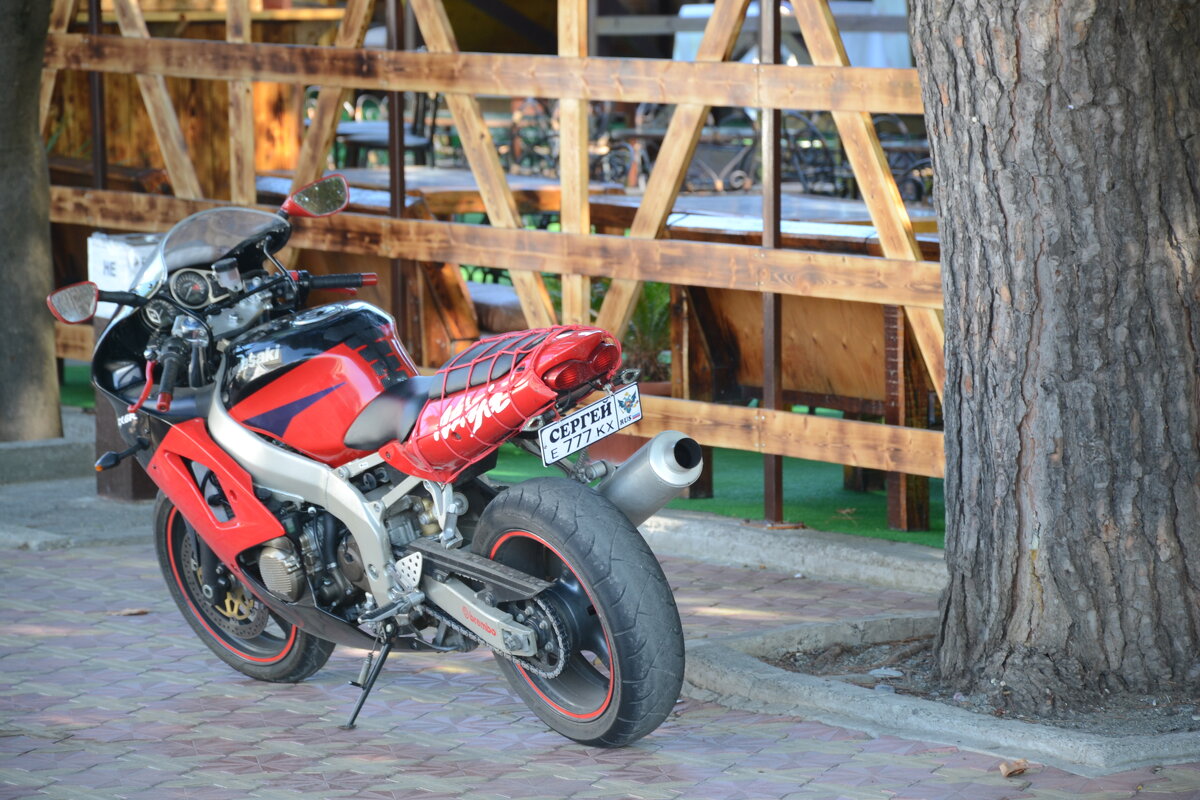 ЕКХ) - Митяй Митрич