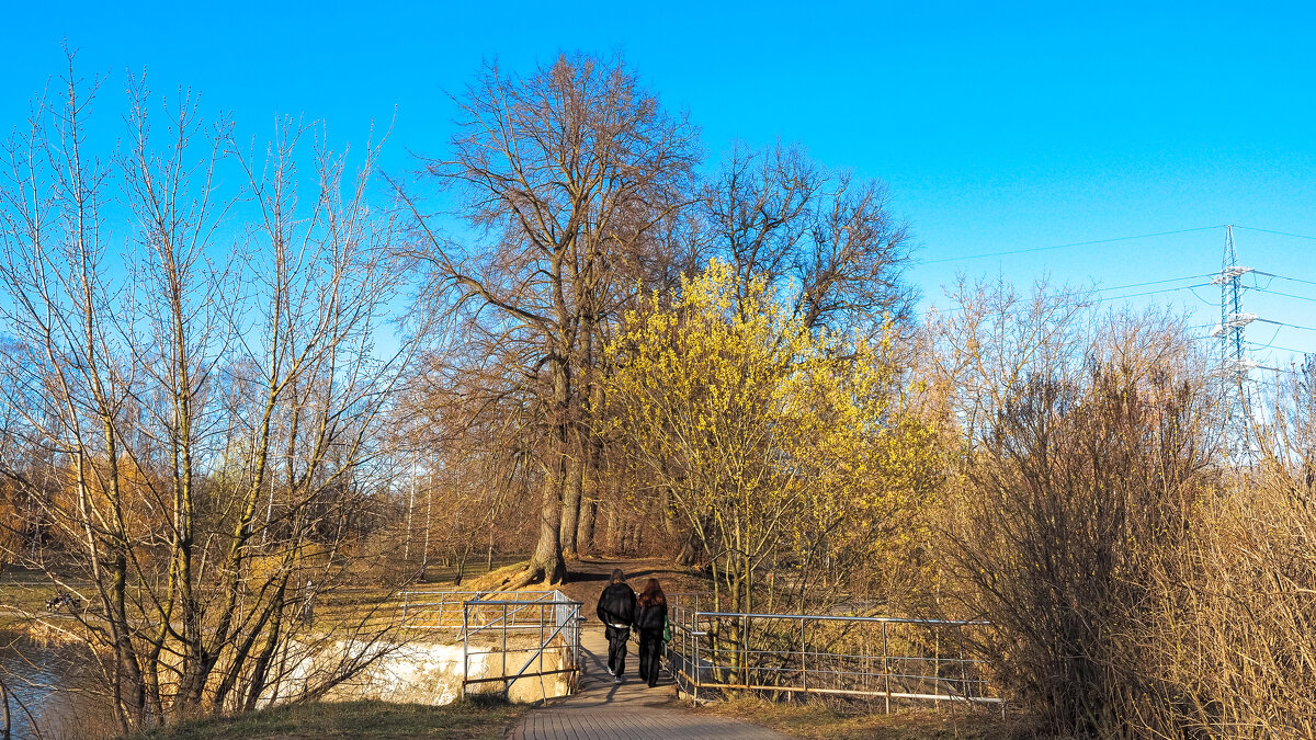 ***** - юрий поляков ***** - юрий поляков