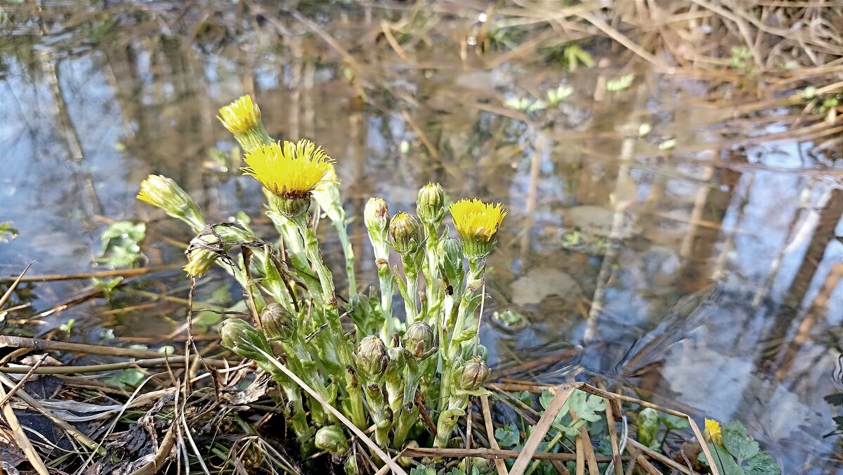 У воды - Татьяна Тюменка У воды - Татьяна Тюменка
