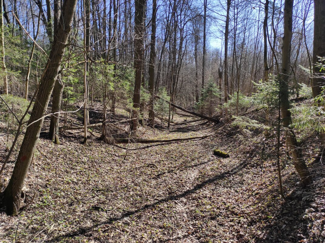 Сухой овражек - Игорь Ч.