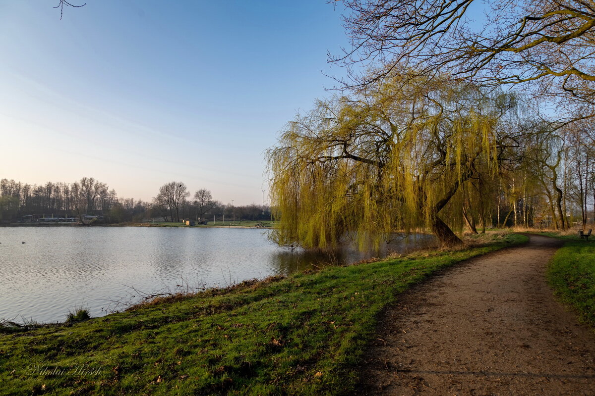 В начале дня... - Николай Гирш