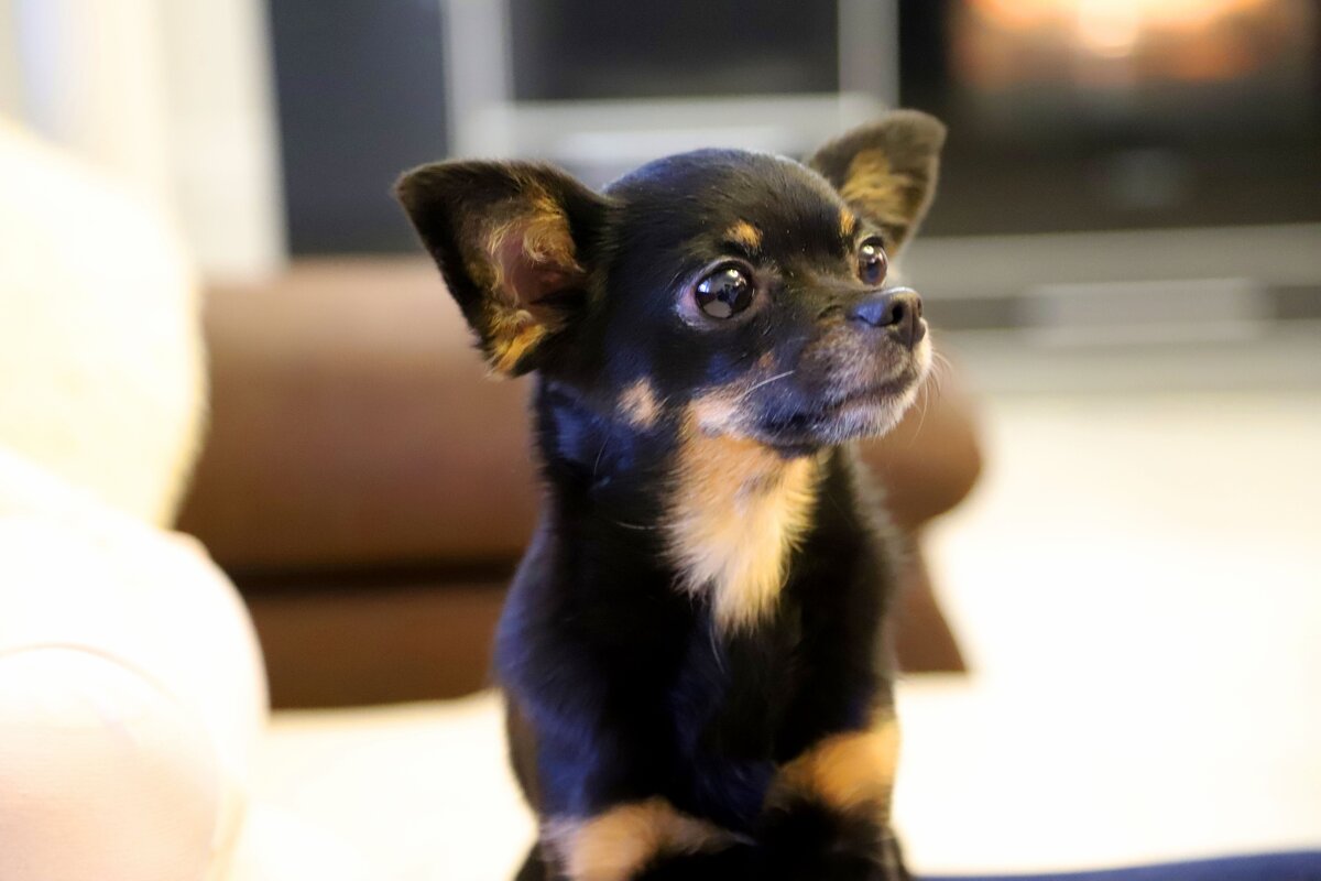 Ka - Андрей Л. В.