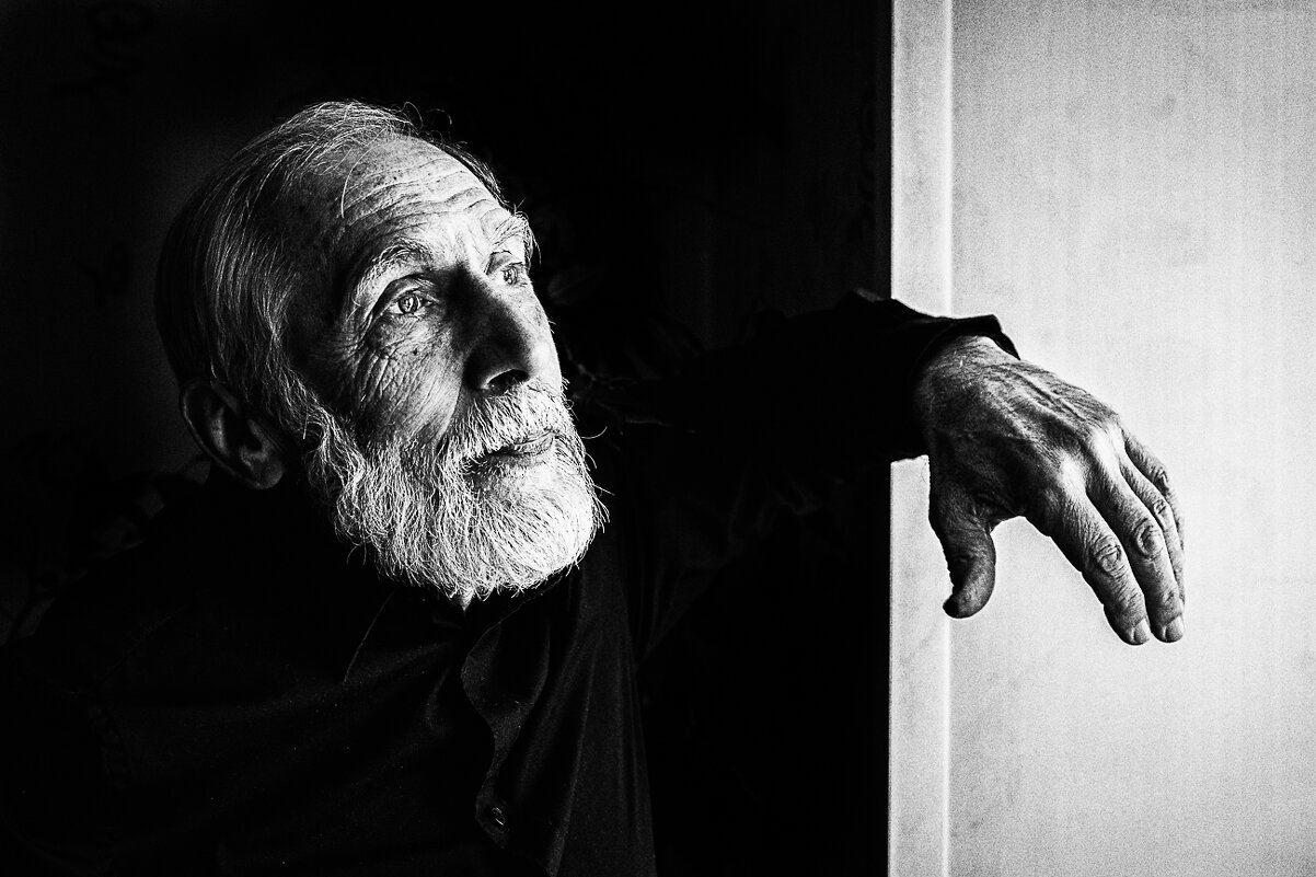 Портреты у окна - Александр Бродский