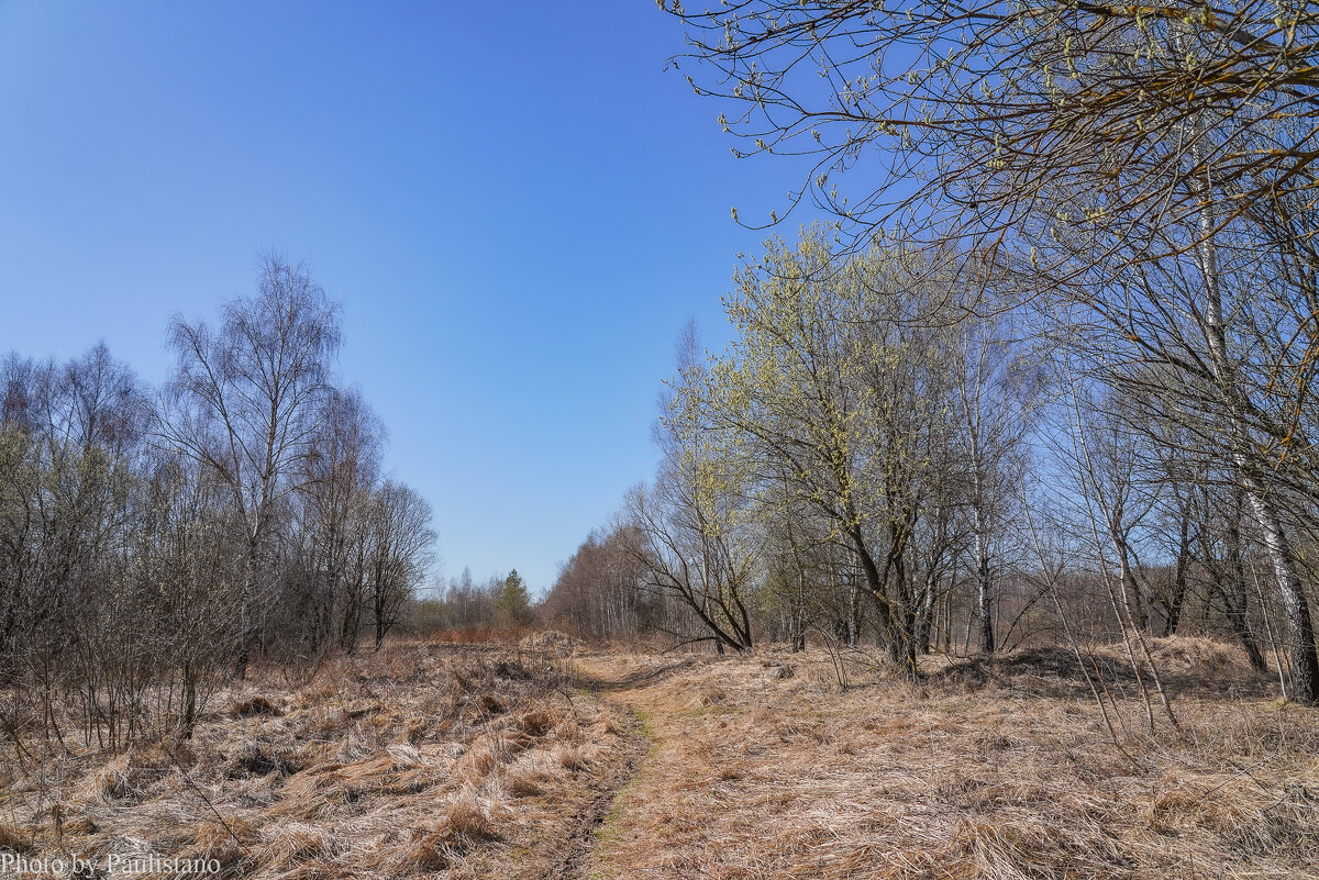 Палитра апреля... - Владимир Жданов Палитра апреля... - Владимир Жданов