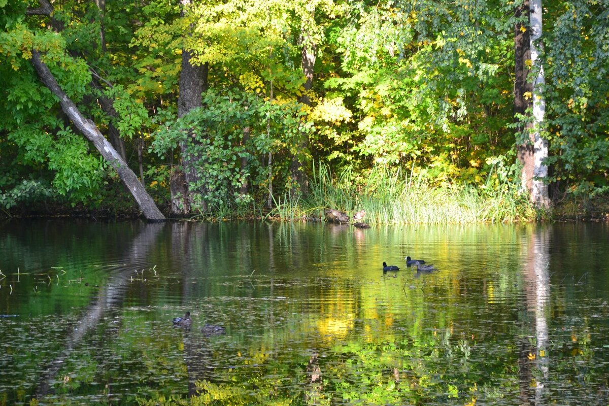 !!! - Надежда 