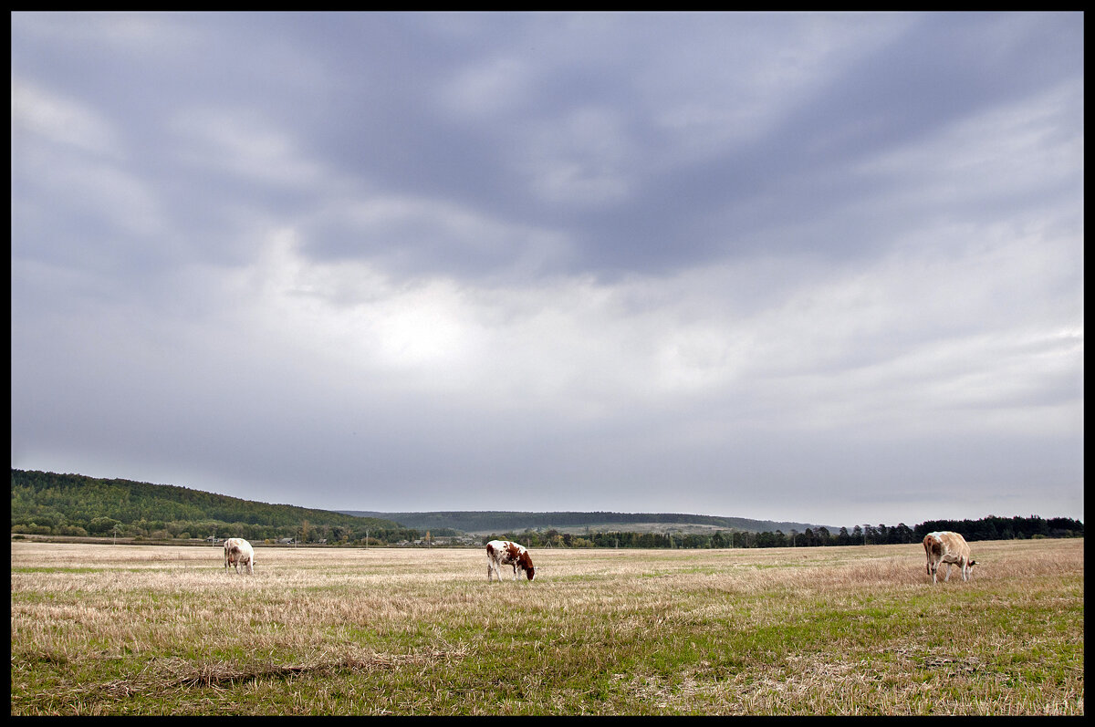 Осень - **** vedin