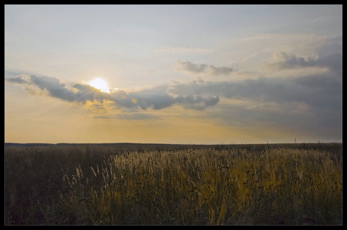 Осень - **** vedin Осень - **** vedin