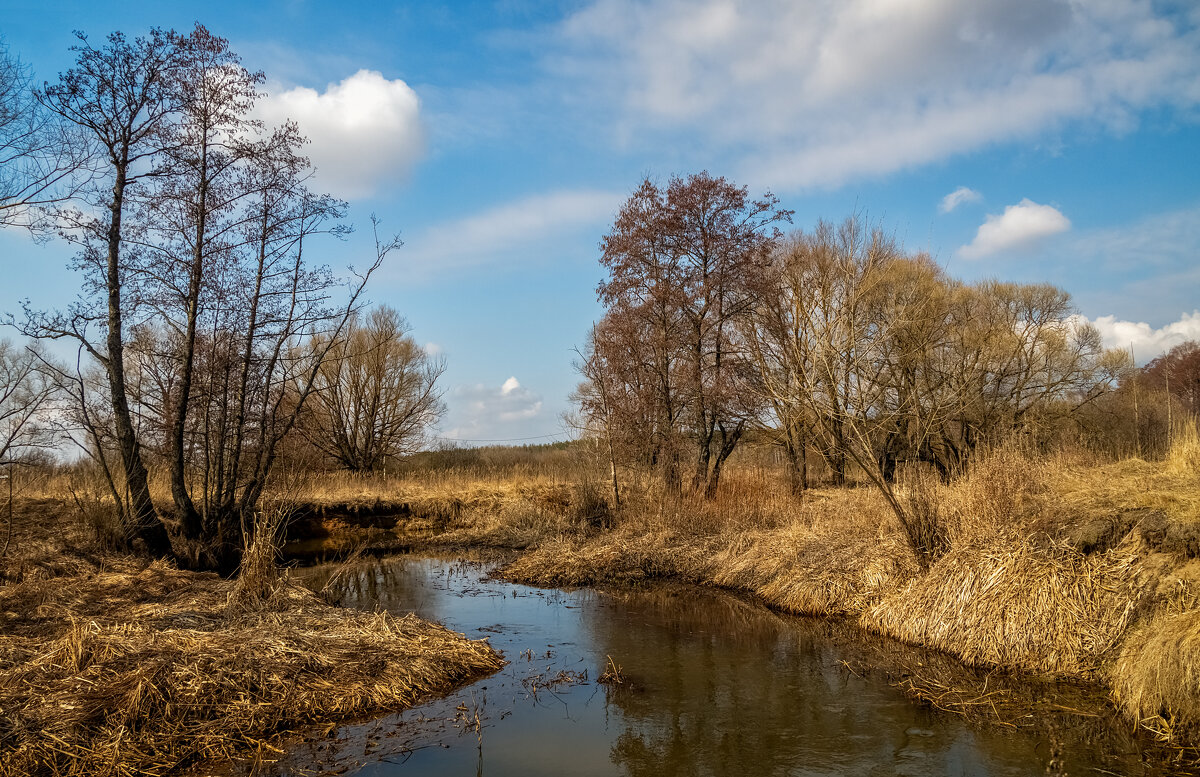 Весна набирает обороты 5 - Андрей Дворников