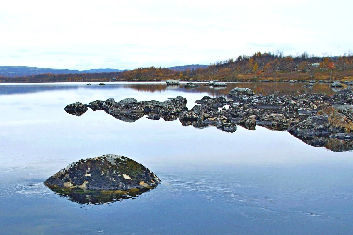 Берег озера - Сергей Швечков Берег озера - Сергей Швечков