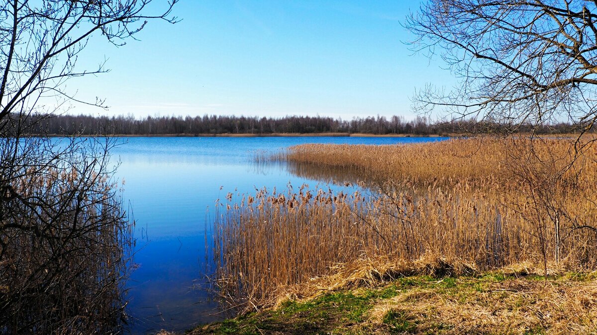 Красота смоленской природы - Милешкин Владимир Алексеевич Красота смоленской природы - Милешкин Владимир Алексеевич
