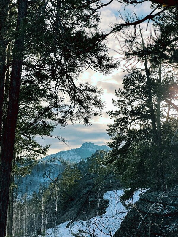 Вершина - Георгиевич Вершина - Георгиевич