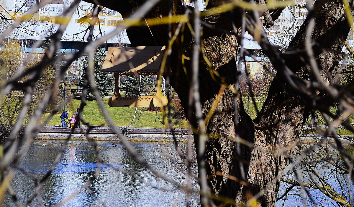 Птичья столовая. - Василий Палий