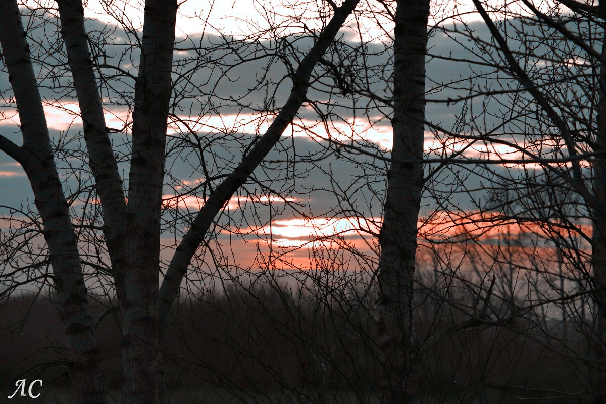 На исходе дня - Любовь Сахарова