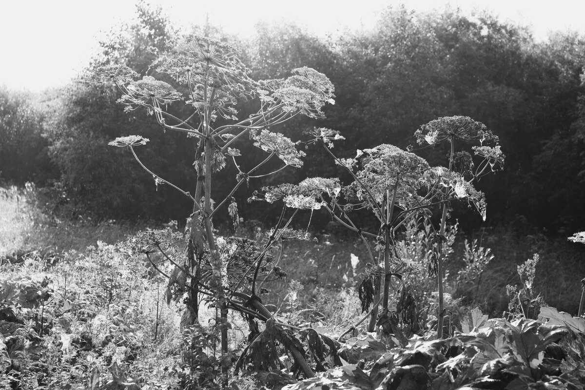 Название отсутствует - Денис Безногов