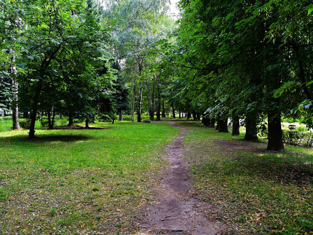 Чебоксары. Тропинка под липами в сквере им. В.И. Чапаева. - Пётр Чернега Чебоксары. Тропинка под липами в сквере им. В.И. Чапаева. - Пётр Чернега