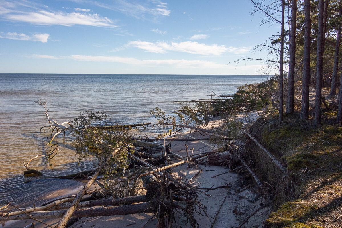 *** - Геннадий Порохов