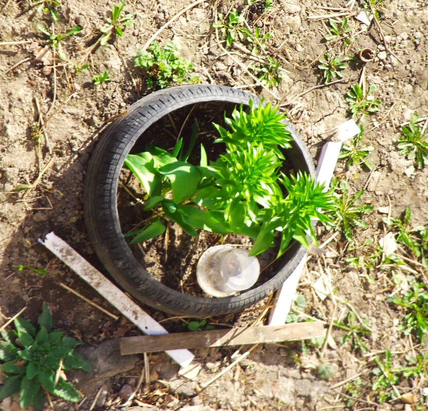 На земле... - Юрий Куликов