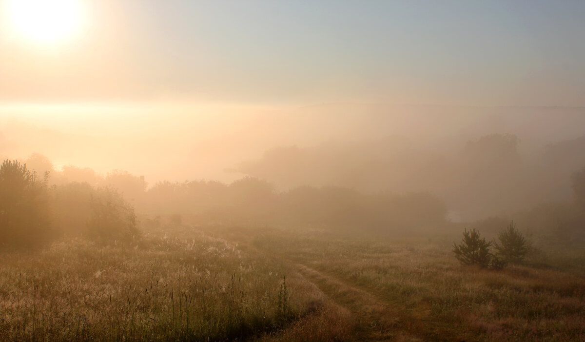 Река Березина. - Анатолий Герасимов