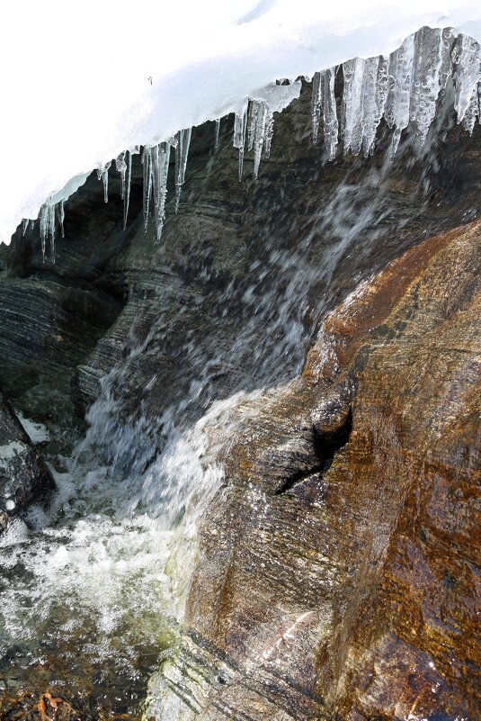 И тает лёд... - Ольга 