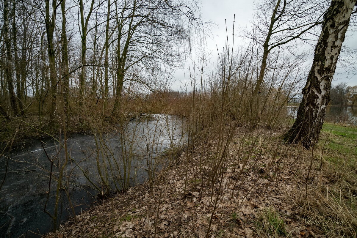 Между речкой и озером... - Николай Гирш