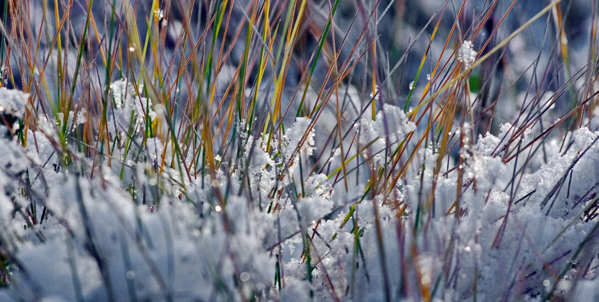 Красочный мир под ногами. - Любовь Овсянкина