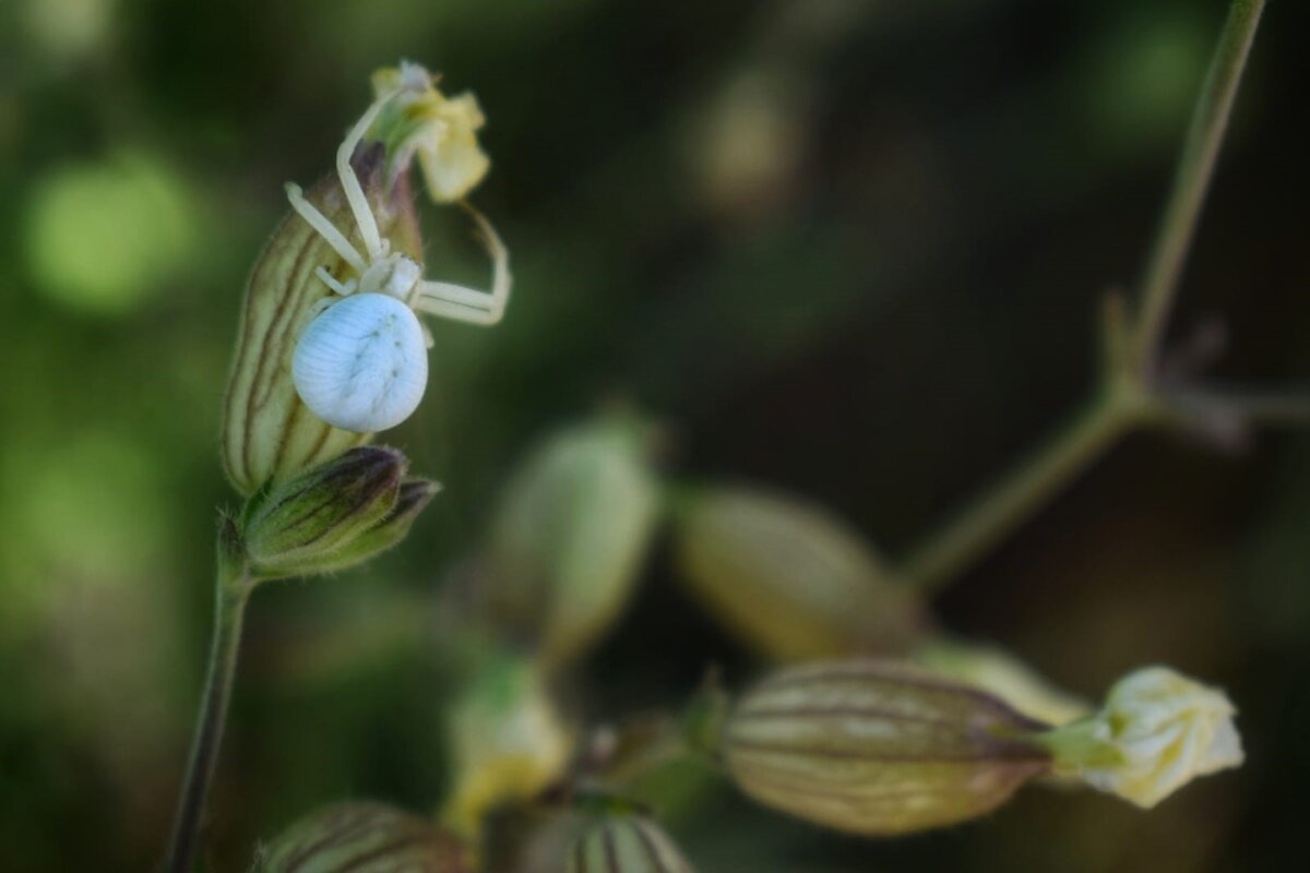 * - Оксана Н.