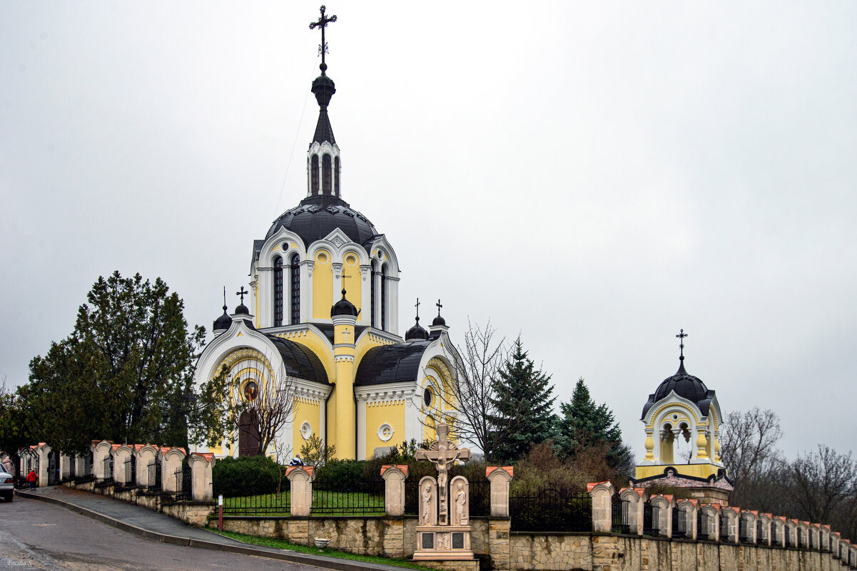 "-" - Светлана Фокша