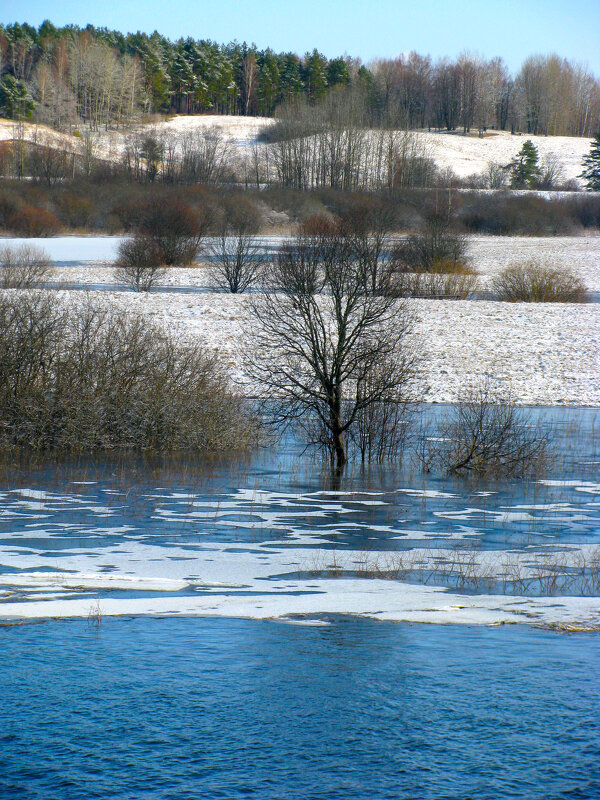 Апрель, разлив - Олег Зоркий