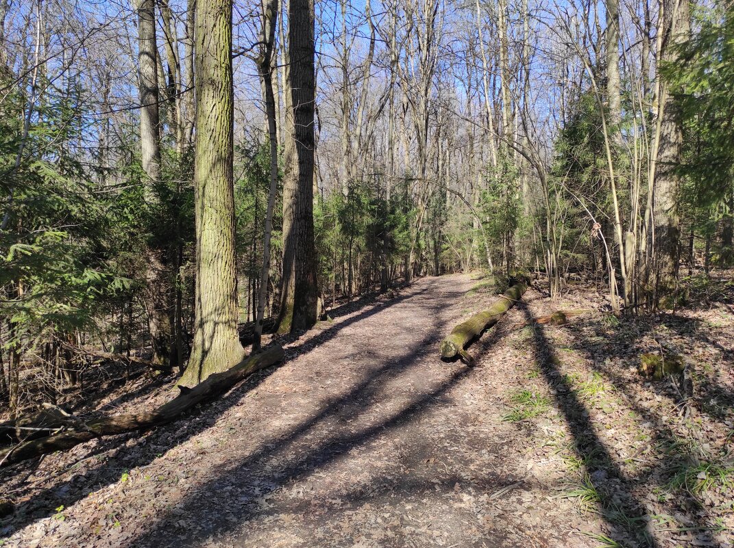 Солнечный апрельский день - Игорь Ч. Солнечный апрельский день - Игорь Ч.