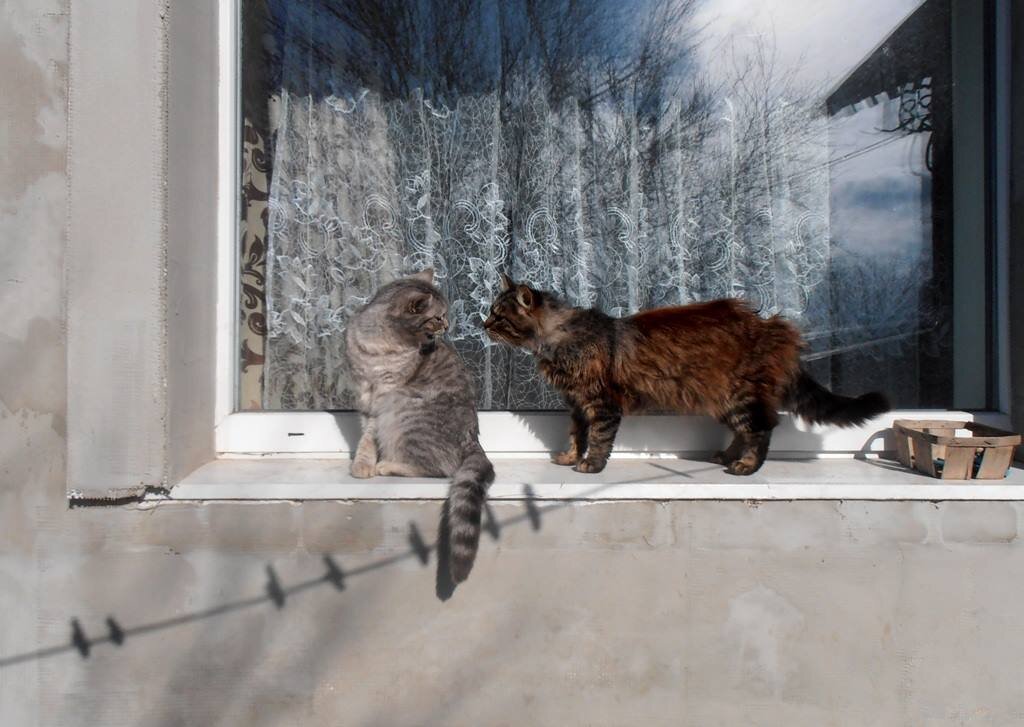 Вопросы и ответы :) - Наталья Вопросы и ответы :) - Наталья