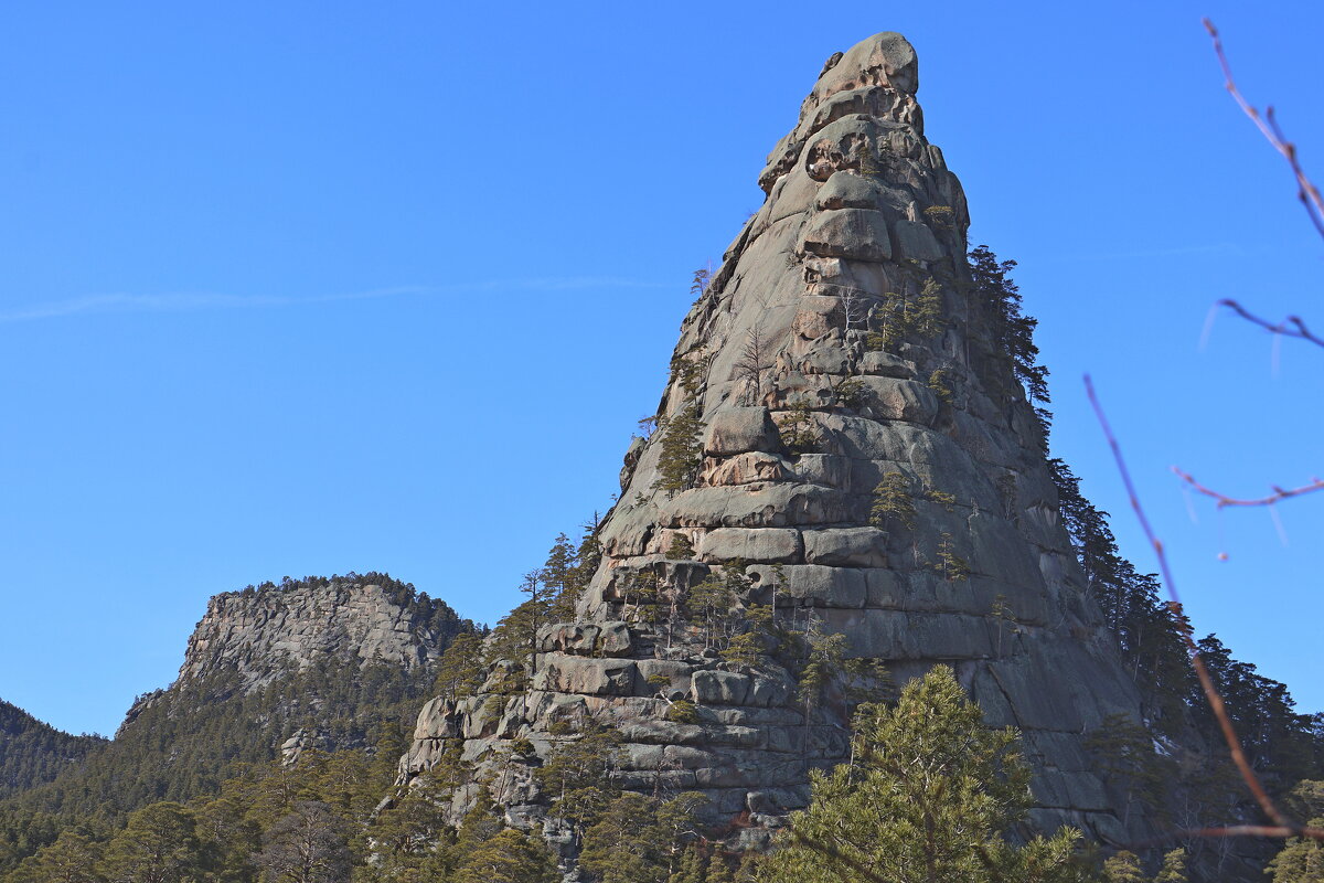 Ск.Окжетпес - Александр Ш