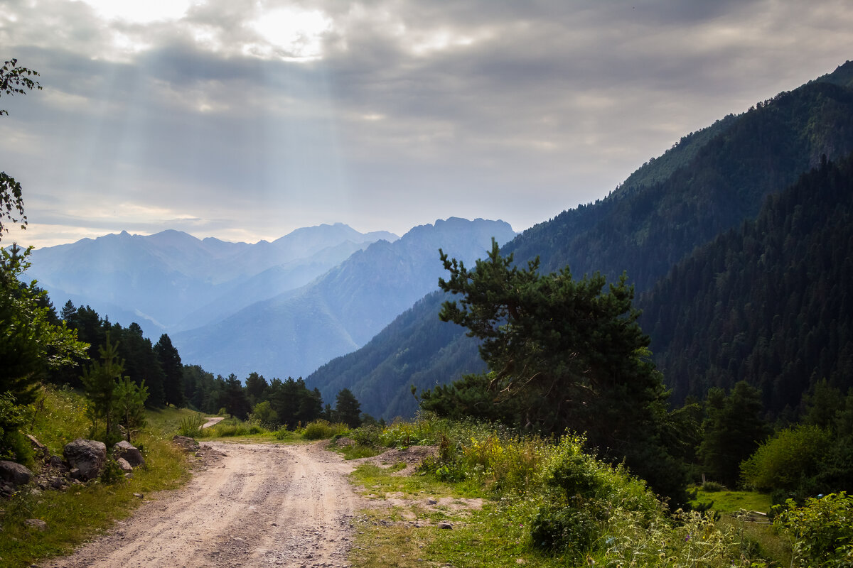 По дороге - Алексей По дороге - Алексей