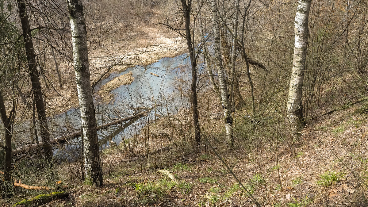 ***** - юрий поляков