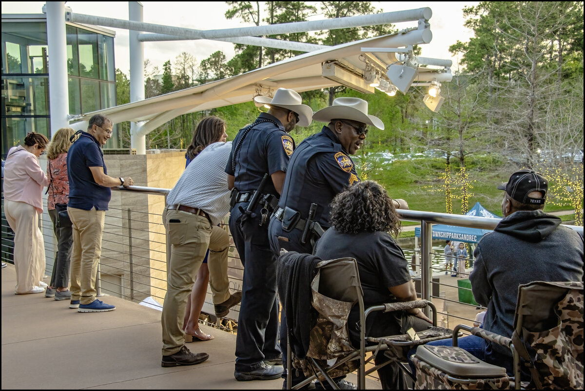 Живая музыка - **** vedin