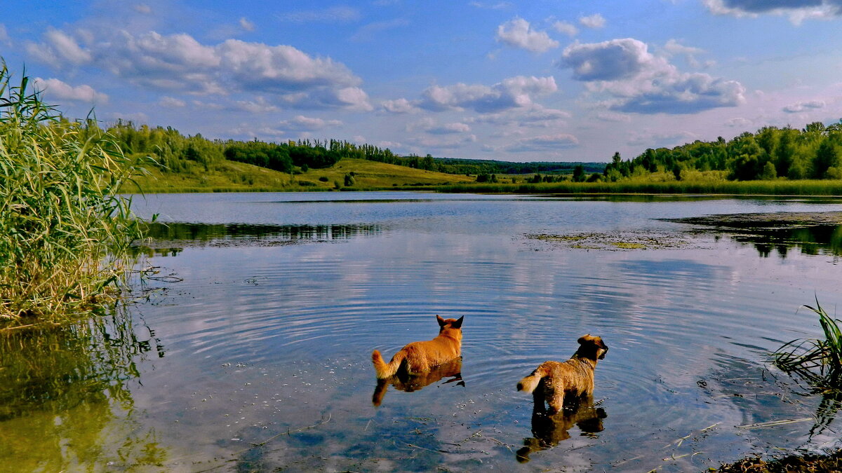 Ну что, поплаваем? - Татьяна Нефедьева. Ну что, поплаваем? - Татьяна Нефедьева.
