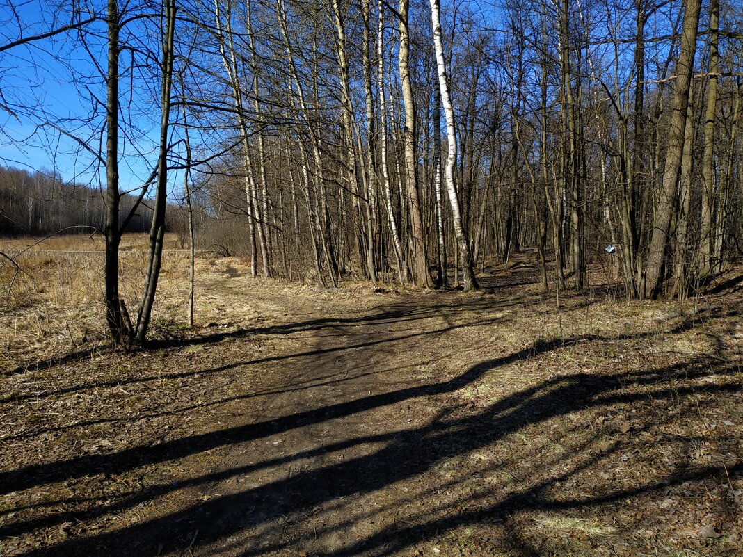 Настоящий апрель - Андрей Лукьянов