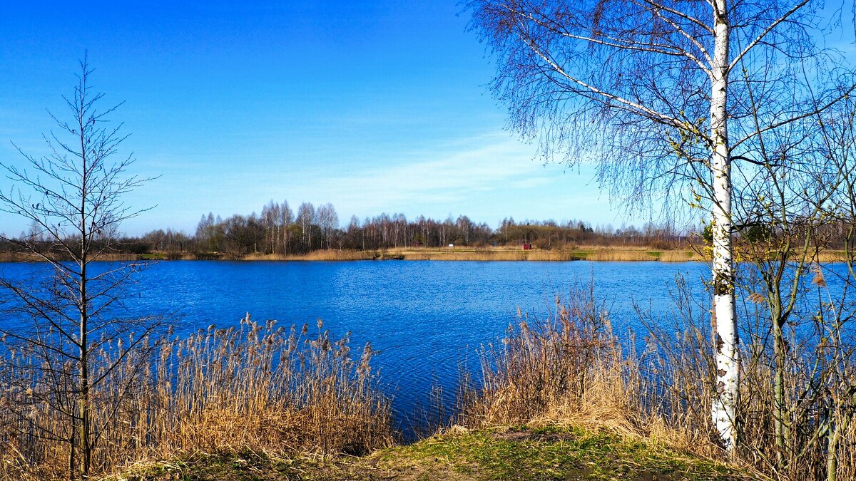 Моя Смоленщина - Милешкин Владимир Алексеевич 