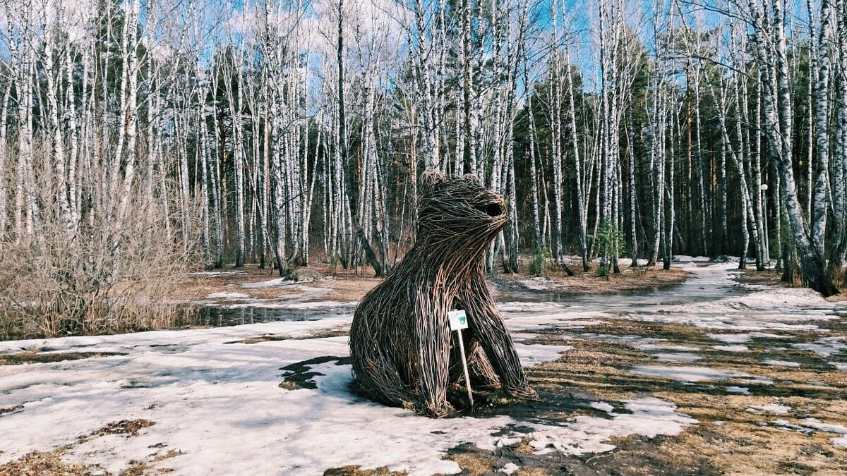 Медведь - Георгиевич 
